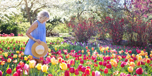 9 Reasons to Grow a Garden in Retirement